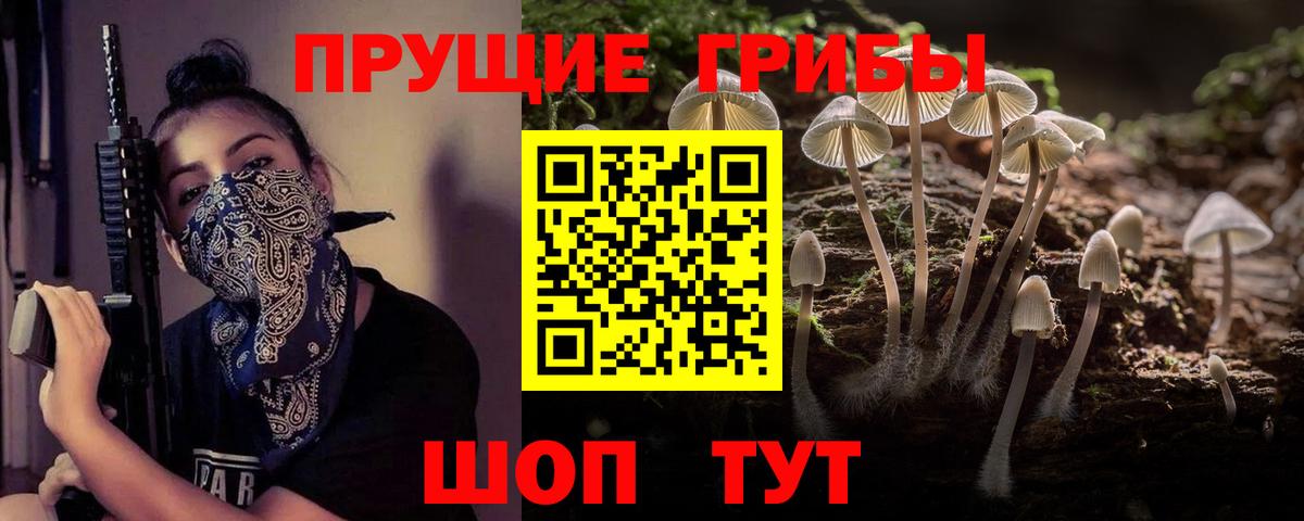 Рассказово  Псилоцибиновые грибы Psilocybe  Вход с VPN 