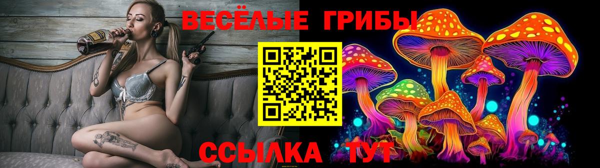 Псилоцибиновые грибы мухоморы Рассказово